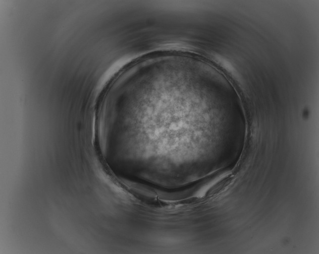 X0000089451323200707061234