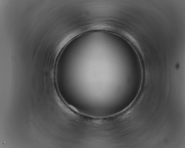 X0000089451330200707061234