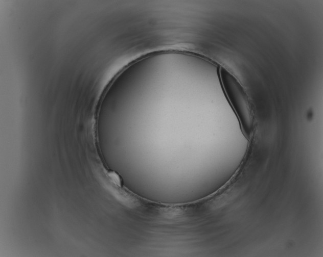 X0000089451332200707061235