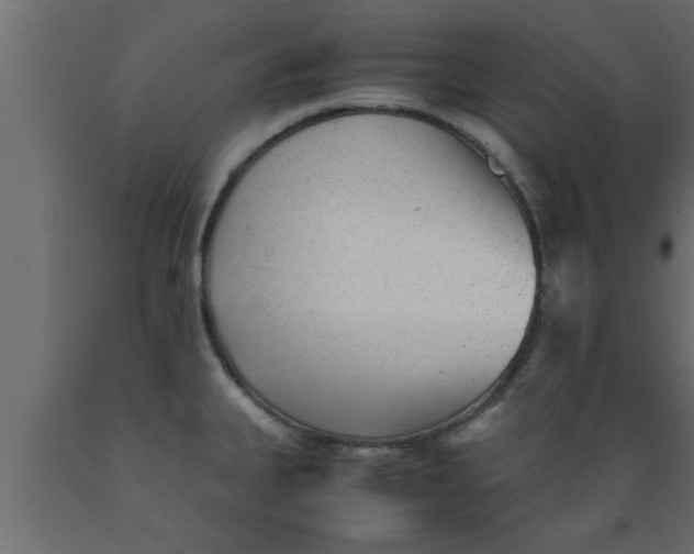 X0000089451335200707061235