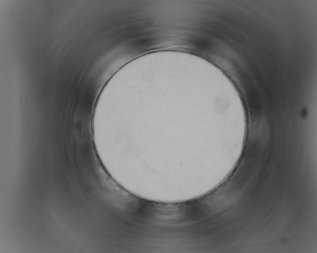 X0000089451338200707061235