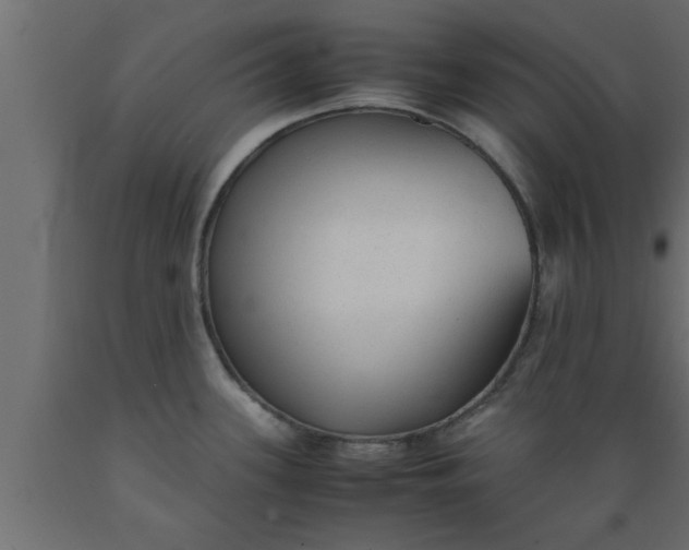 X0000089451339200707061235