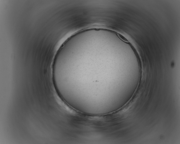 X0000089451341200707061235