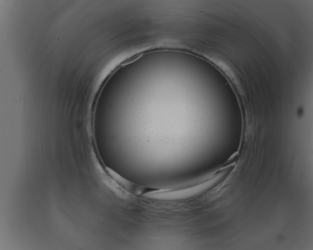 X0000089451342200707061235