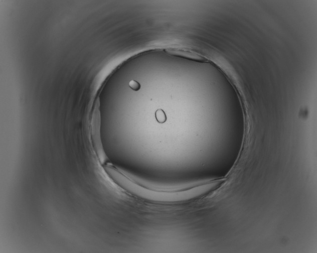 X0000089451344200707061235