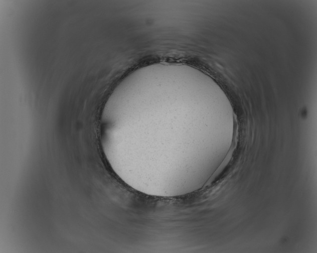 X0000089451345200707061234