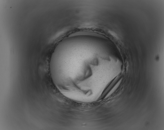 X0000089451350200707061234