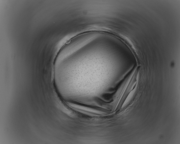 X0000089451371200707061234