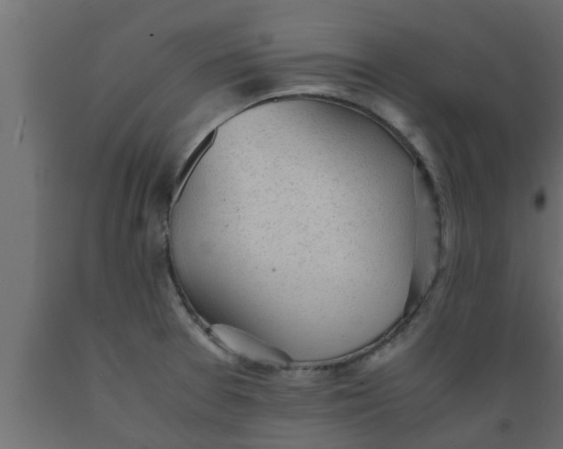 X0000089451377200707061233