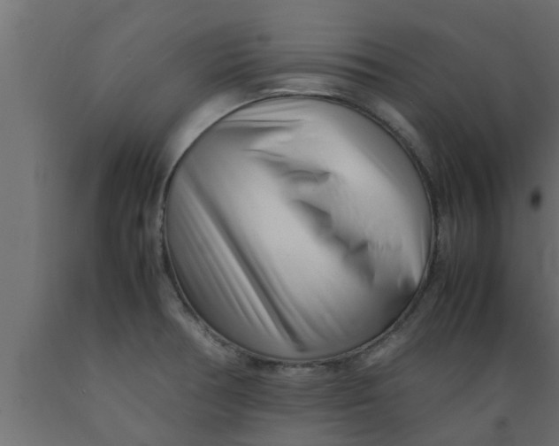 X0000089451378200707061233