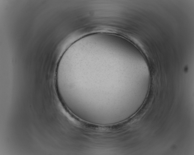 X0000089451379200707061233