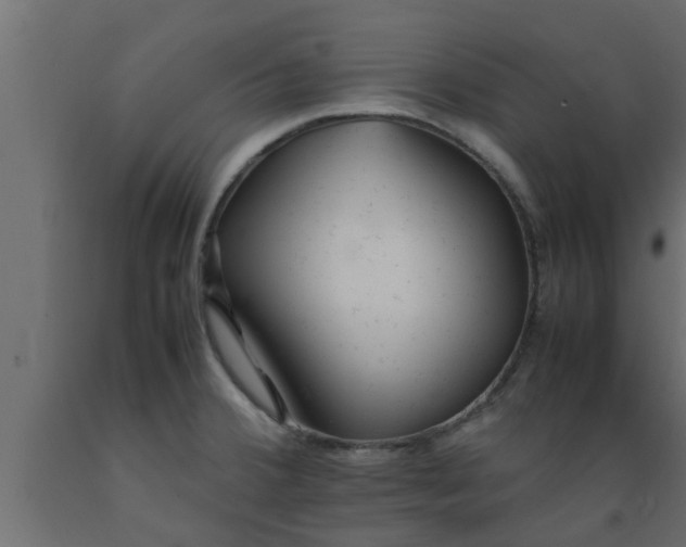 X0000089451380200707061233