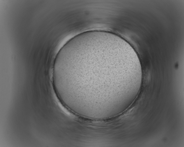 X0000089451383200707061233