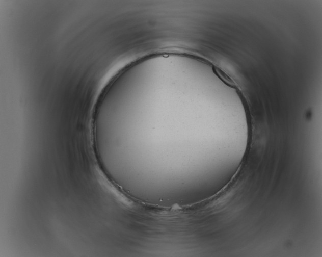 X0000089451384200707061233