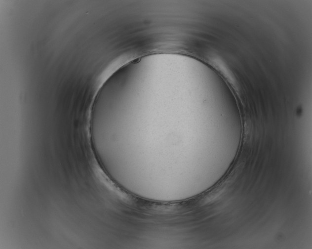 X0000089451386200707061233