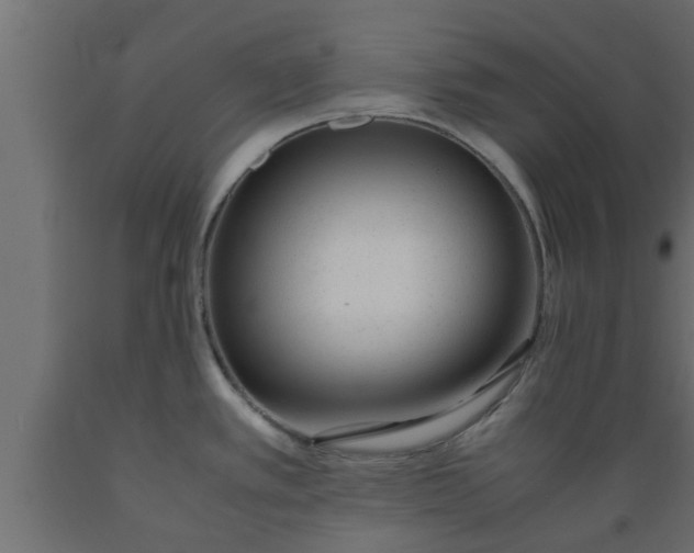 X0000089451389200707061233