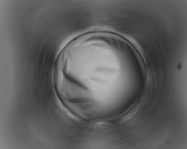X0000089451390200707061233