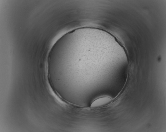 X0000089451391200707061233
