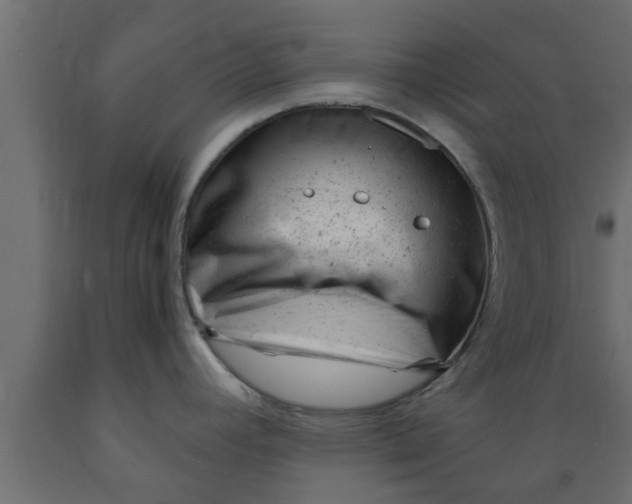 X0000089451392200707061233