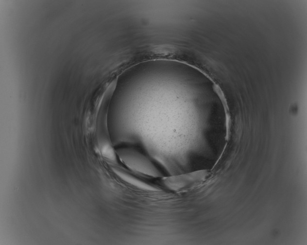 X0000089451394200707061233