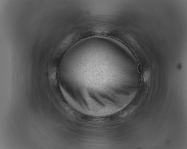 X0000089451396200707061233