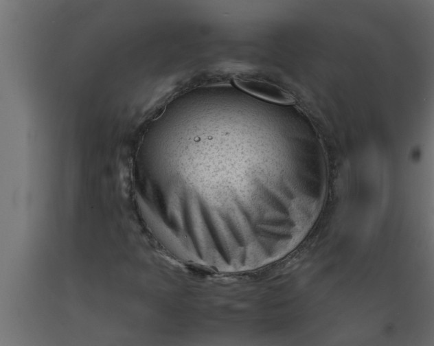 X0000089451397200707061233