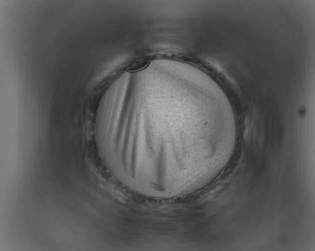 X0000089451399200707061233