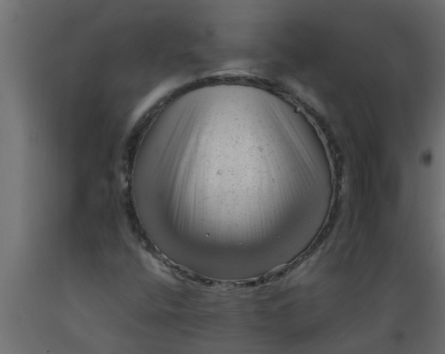 X0000089451400200707061233