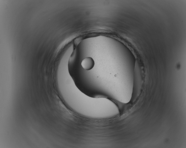 X0000089451402200707061233
