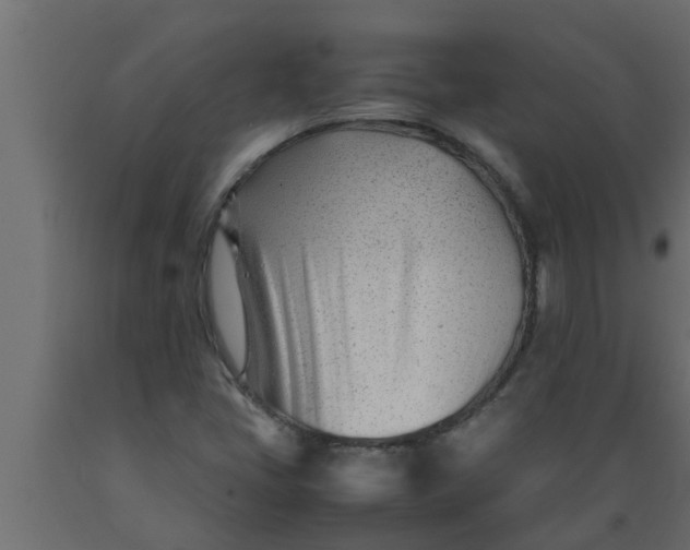 X0000089451405200707061233