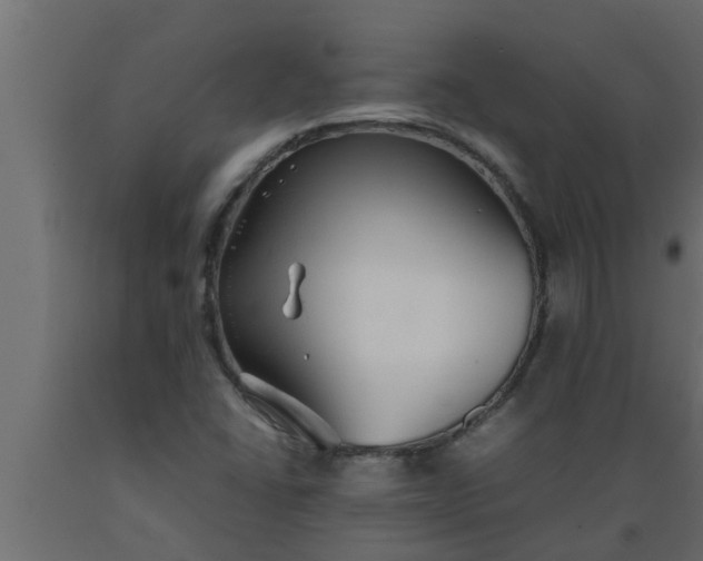 X0000089451406200707061233