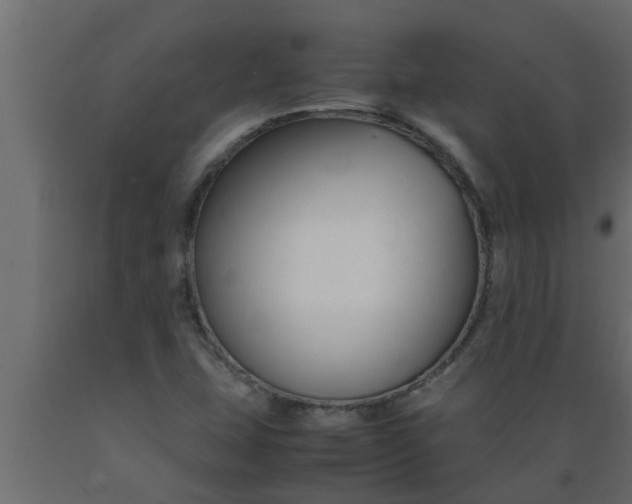 X0000089451407200707061233