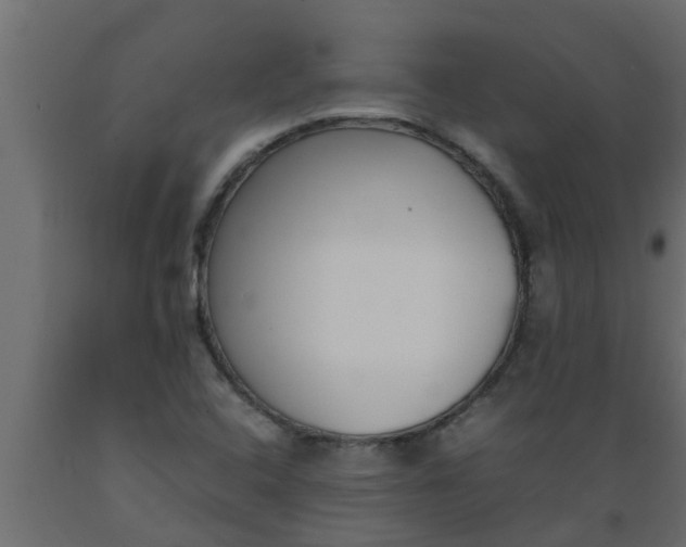 X0000089451408200707061233