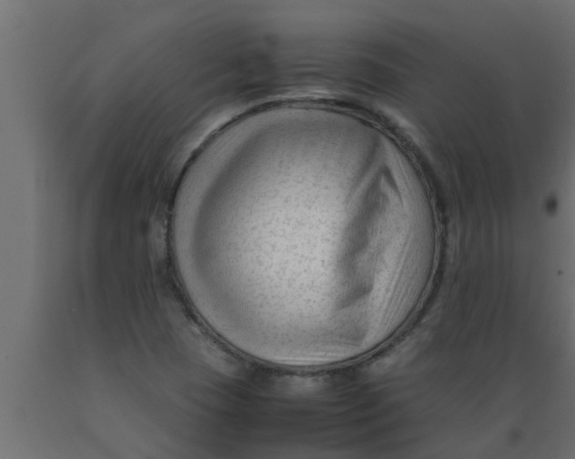 X0000089451409200707061233