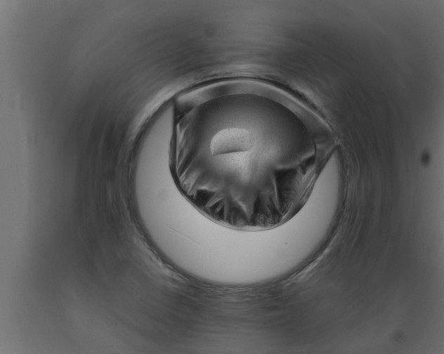 X0000089451410200707061233
