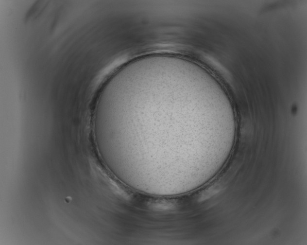 X0000089451411200707061233