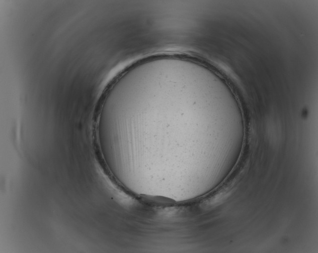 X0000089451412200707061233