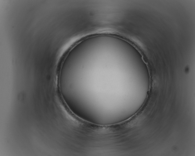 X0000089451414200707061233