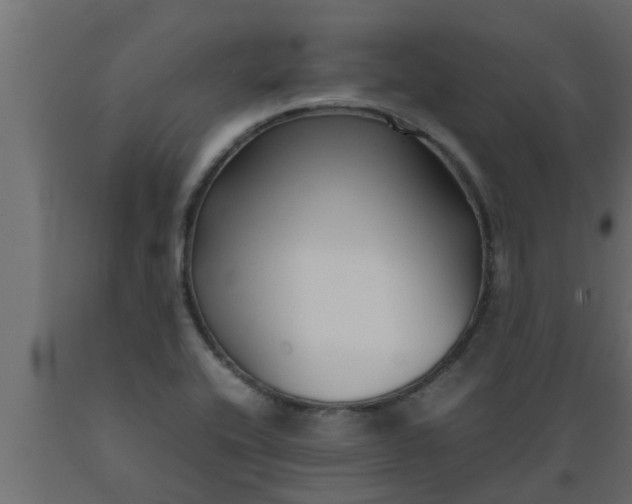 X0000089451416200707061233