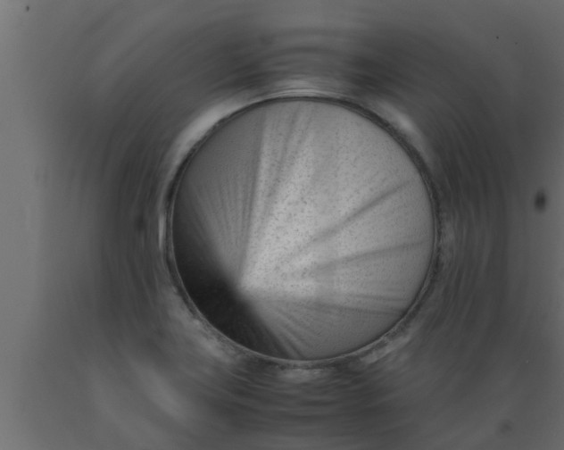 X0000089451419200707061233