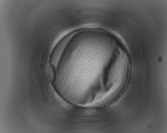 X0000089451421200707061233