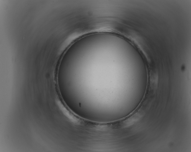 X0000089451422200707061233