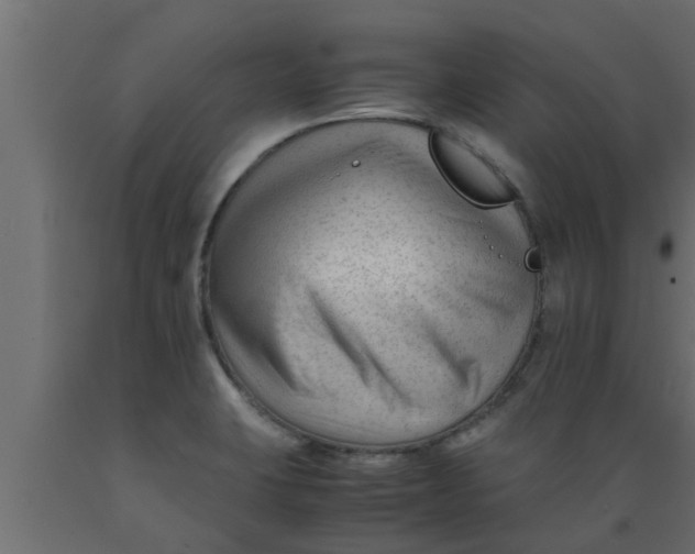 X0000089451423200707061233