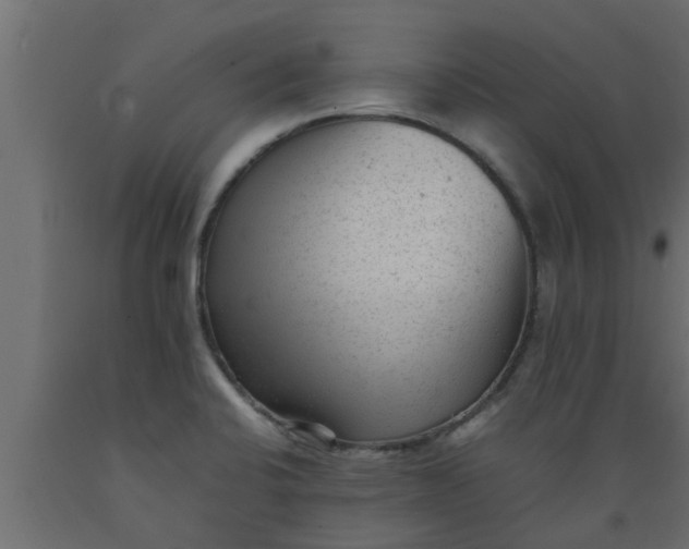 X0000089451424200707061233