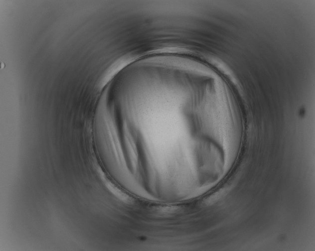 X0000089451425200707061233