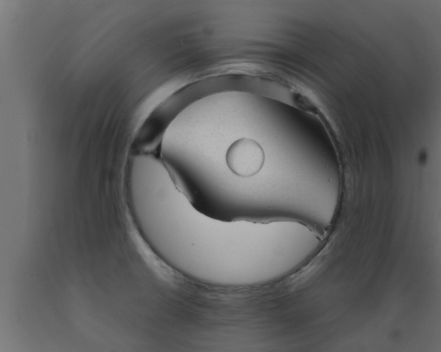 X0000089451426200707061233