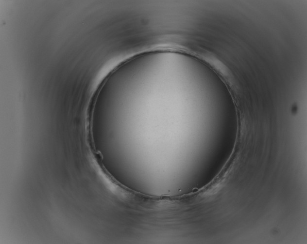 X0000089451430200707061233