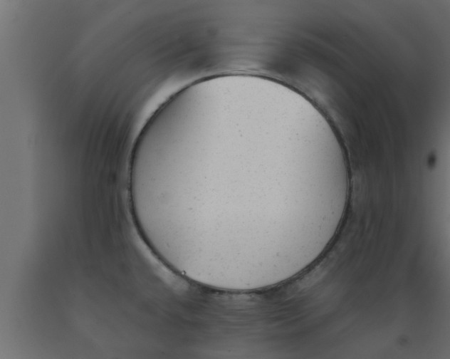 X0000089451432200707061233