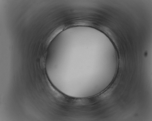 X0000089451433200707061233