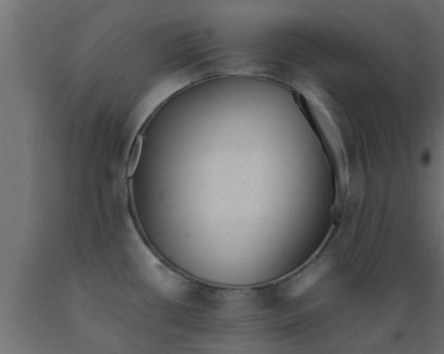 X0000089451434200707061233